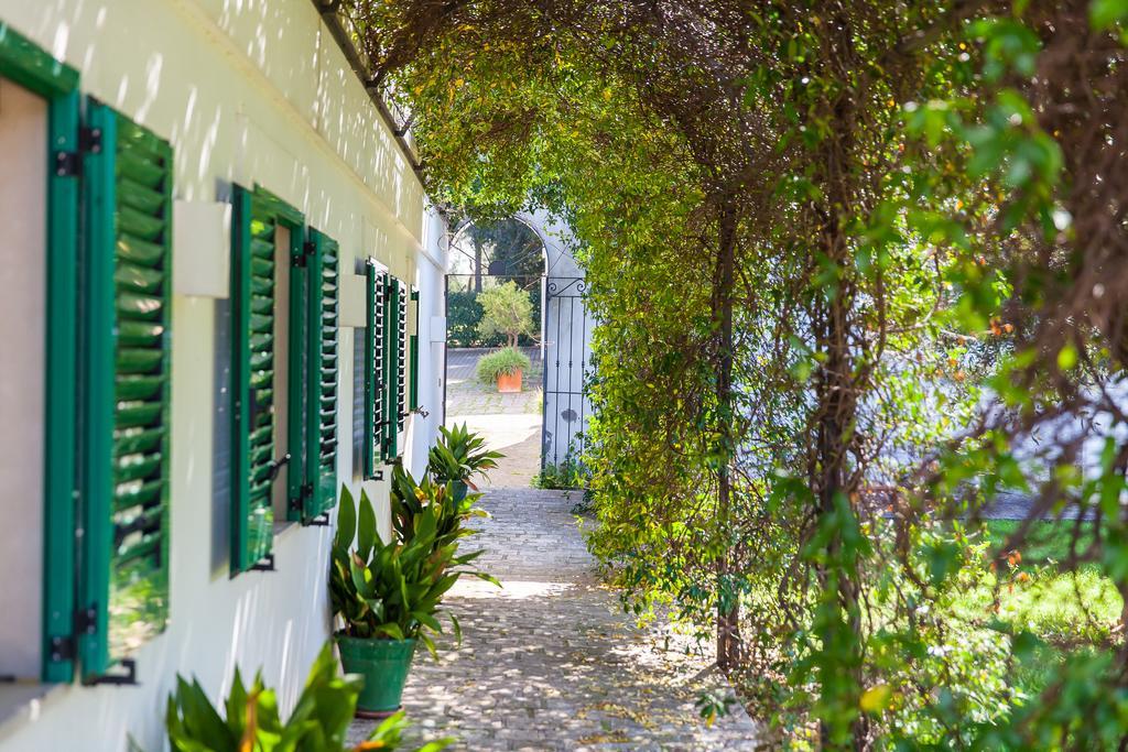 Villa Carenza Monopoli Exterior foto